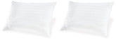 Zephyr 2.0 - Cotton Pillow (Set of 2)(9/CS) - White