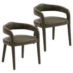 Caden - Dining Chair (Set of 2)