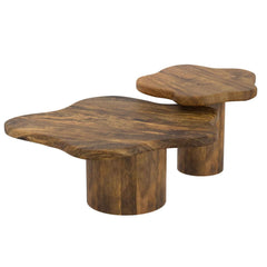 Mayal - Coffee Table (Set of 2)