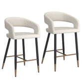 Crimson - Counter Stool (Set of 2)