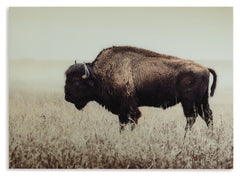 Brutus - Wall Art - Sepia