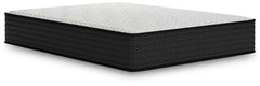 Limited Edition Plush - Mattress