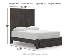 Fraluna Queen Panel Storage Bed