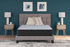 Elite Springs Firm California King Mattress