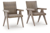 Cliff Trails Outdoor Arm Chair (Set of 2)