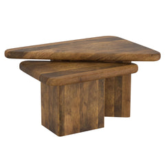 Draco - Coffee Table (Set of 2)