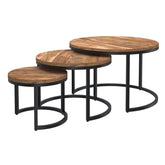 Darsh - Coffee Table (Set of 3) - Natural