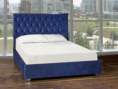 DZ190320 ZANE QUEEN BED