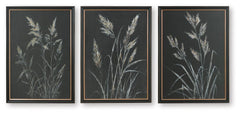 Janisburg - Wall Art Set (Set of 3) - Black / White / Brown