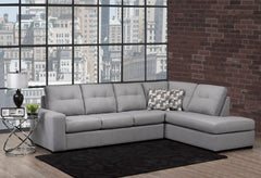 9883 Coral 2-Piece Sectional